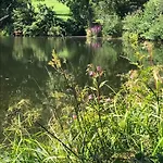 דירה Mit Schwimmbad Und Gartenblick סנקט אנגלמר