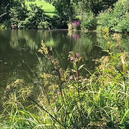 Apartamento Mit Schwimmbad Und Gartenblick Sankt Englmar