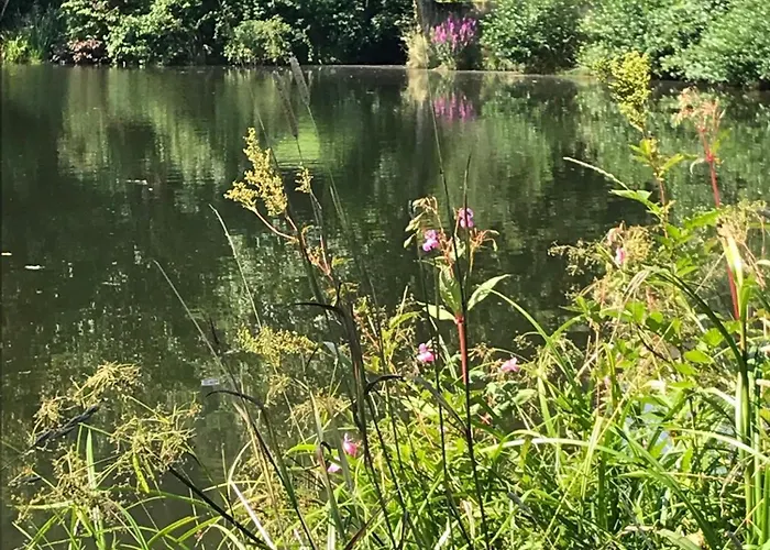 Апартаменты Mit Schwimmbad Und Gartenblick Санкт-Энгльмар