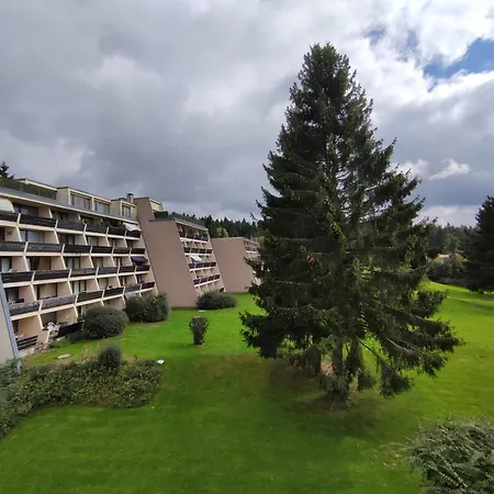 Mit Schwimmbad Und Gartenblick Apartment Sankt Englmar