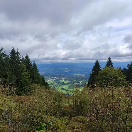 Lägenhet Mit Schwimmbad Und Gartenblick *